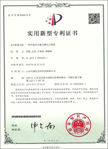 實(shí)用新型專利證書10