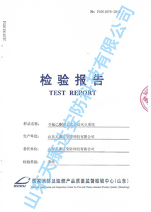檢驗報告（管網(wǎng)式）